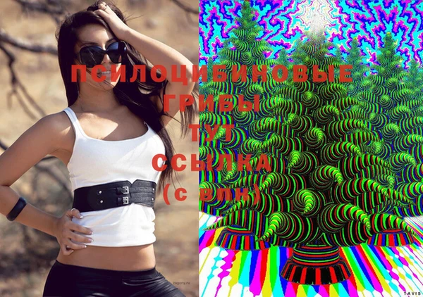 амф Балахна