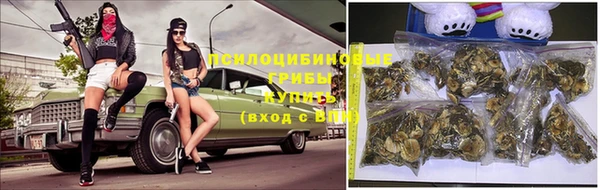 амф Балахна